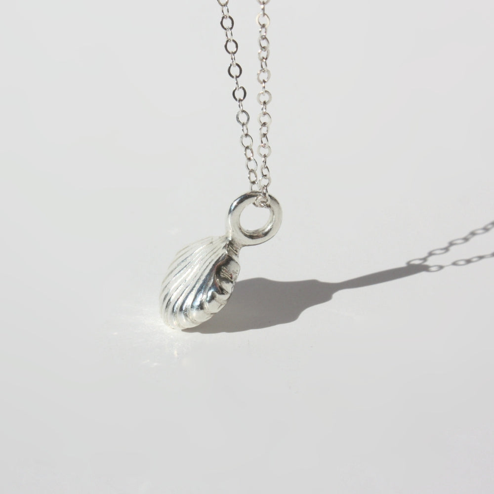 Scallop Shell Necklace