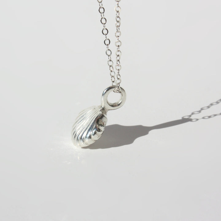Scallop Shell Necklace