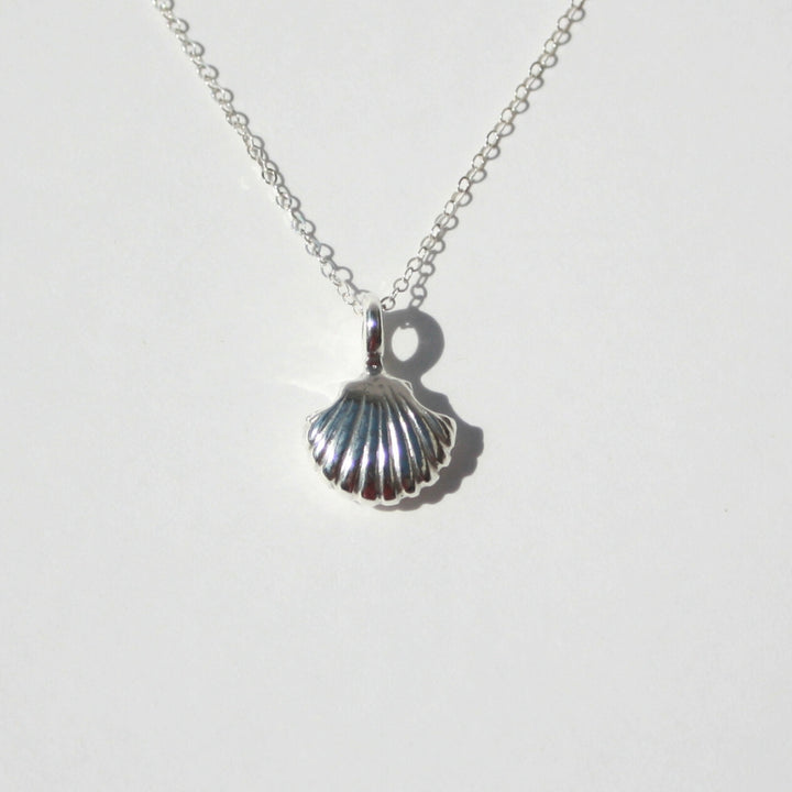 Scallop Shell Necklace