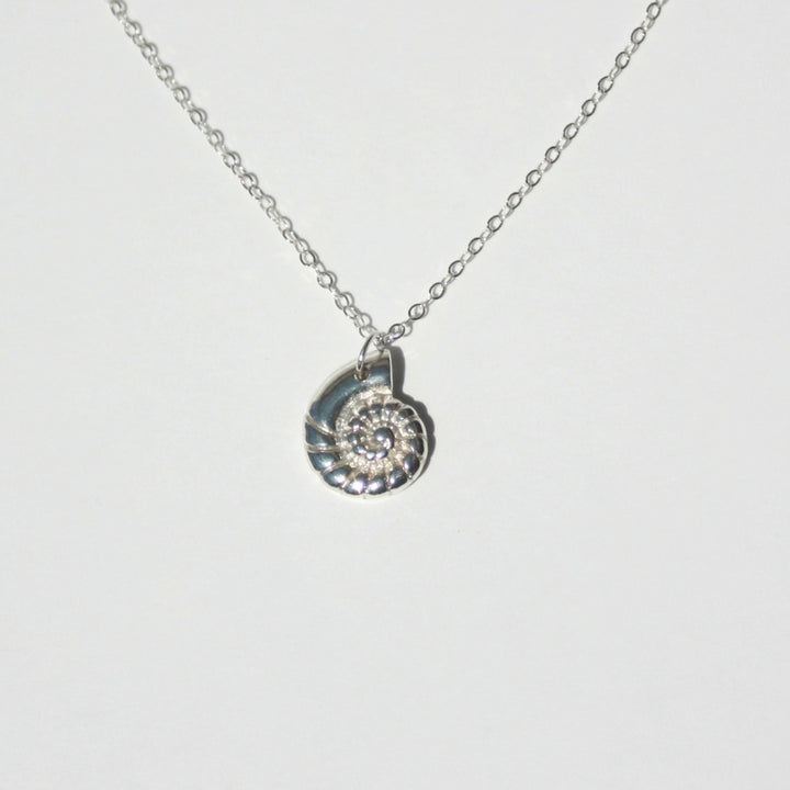 Nautilus Seashell Necklace