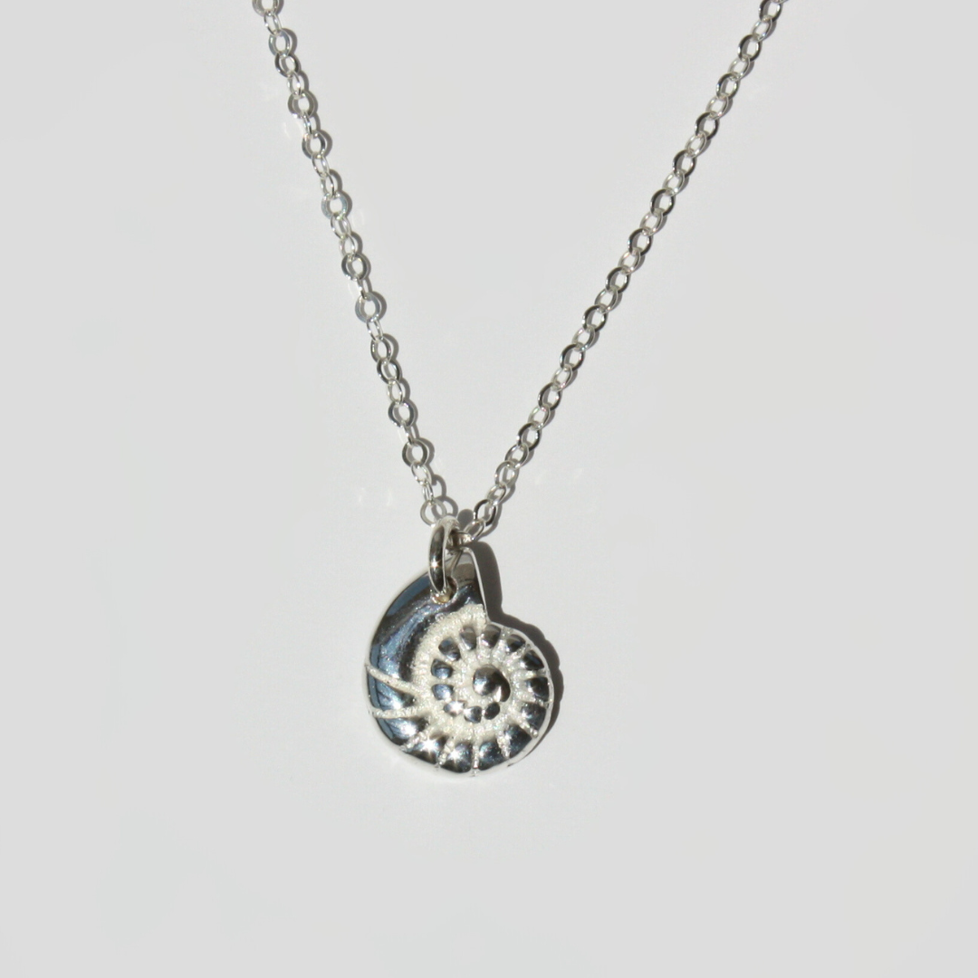 Nautilus Shell Necklace
