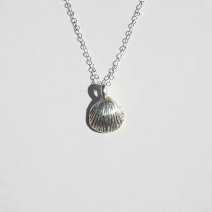 Scallop Seashell Necklace