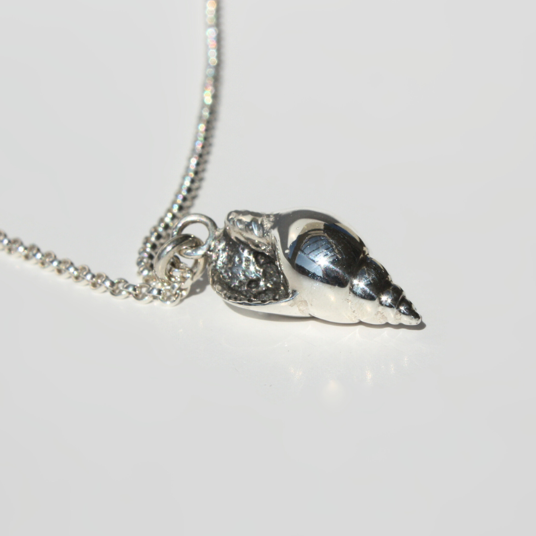 Sterling Silver Tulip Seashell Necklace – Coastal Ocean Jewelry
